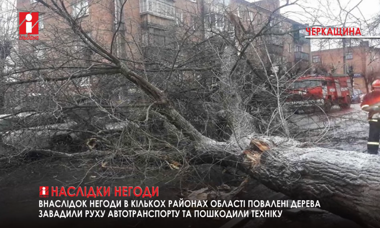 Негода завалила Черкащину поваленими деревами (ВІДЕО)